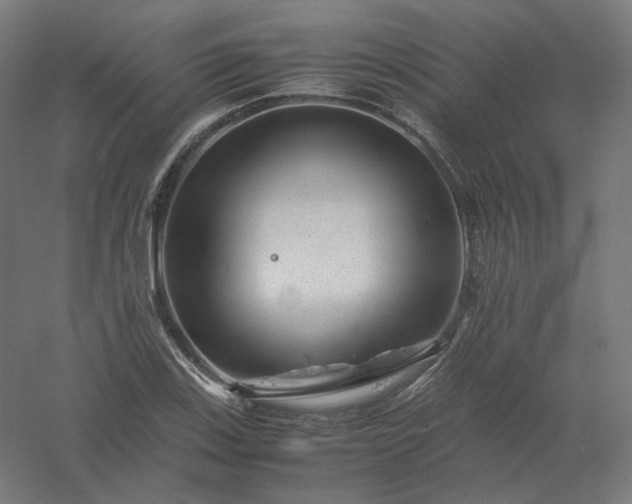X0000061141123200511241756