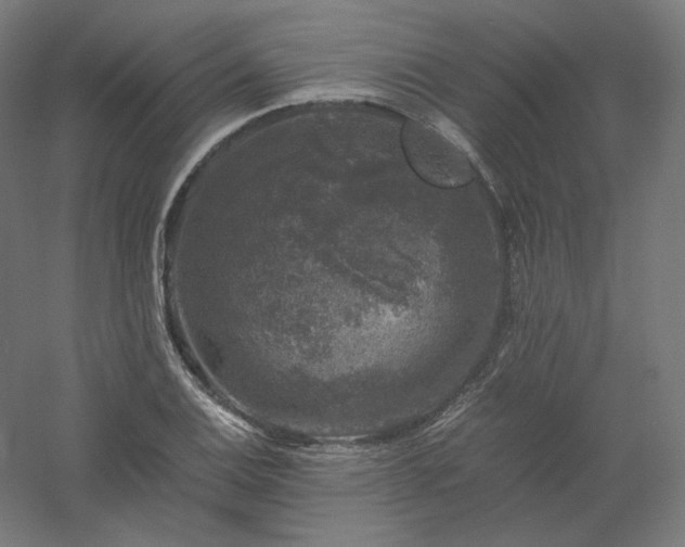 X0000061141124200511241756