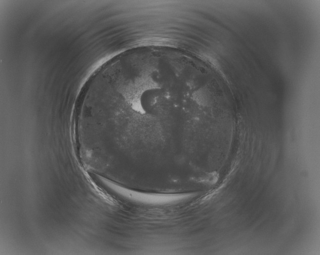 X0000061141125200511241756