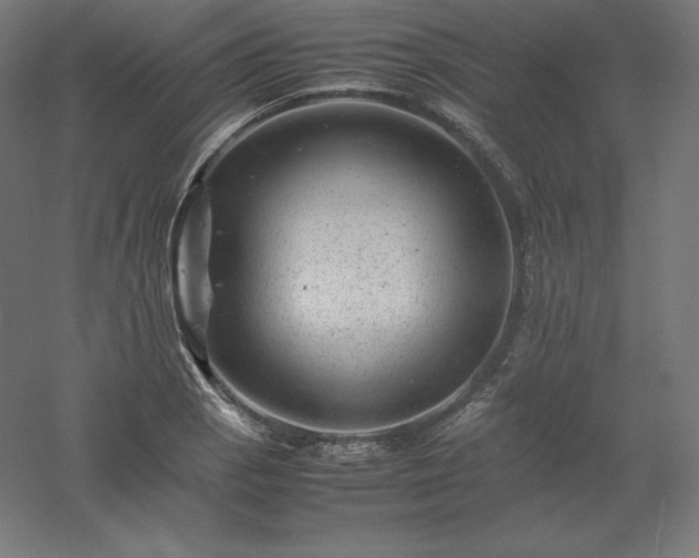 X0000061141129200511241756