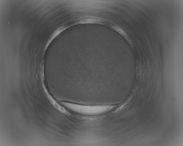 X0000061141130200511241756