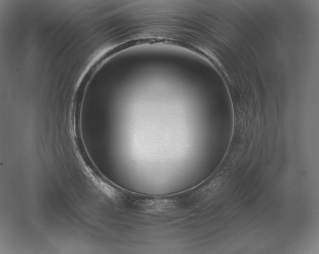 X0000061141131200511241756