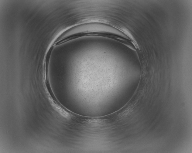 X0000061141132200511241756