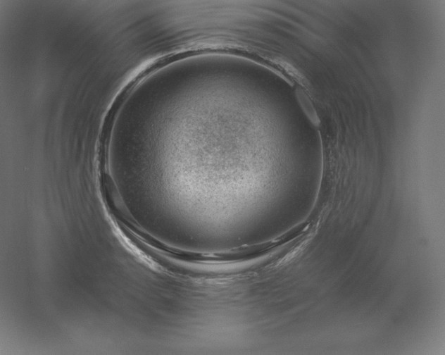 X0000061141134200511241756