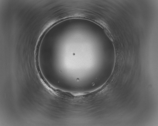 X0000061141135200511241756