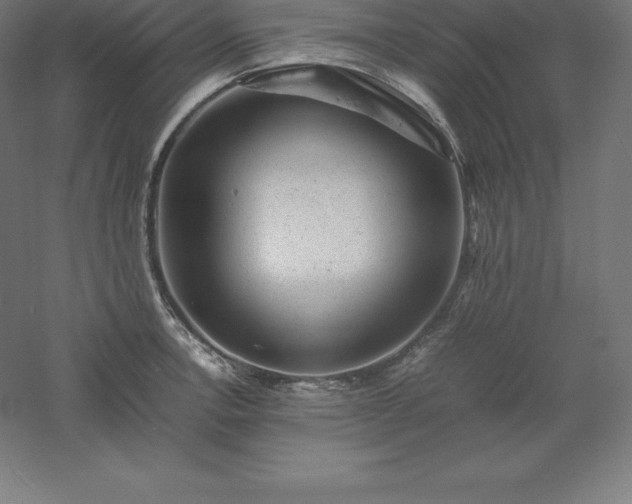 X0000061141138200511241757