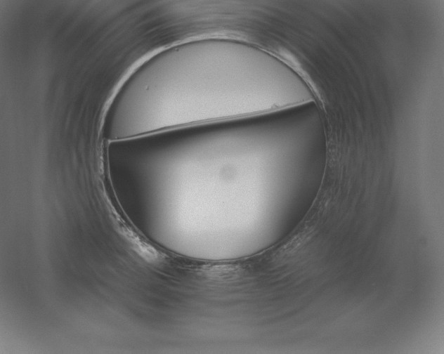 X0000061141140200511241757