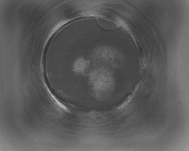 X0000061141141200511241757