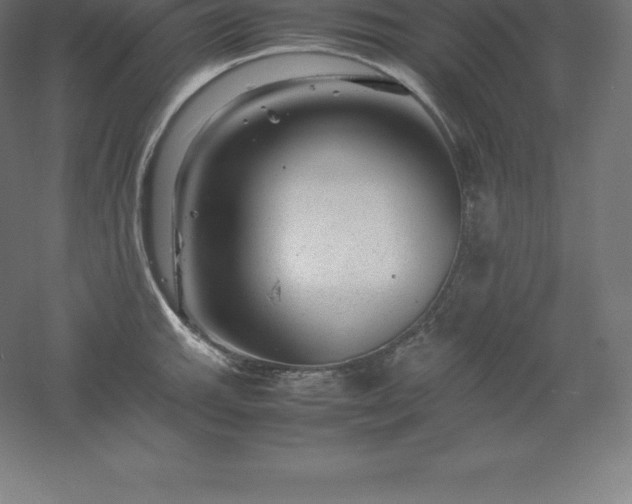 X0000061141143200511241757