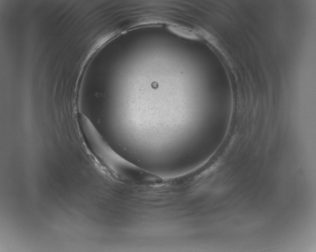 X0000061141145200511241757