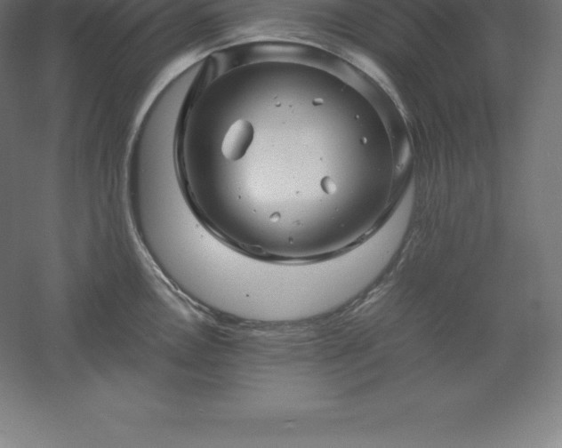 X0000061141146200511241757