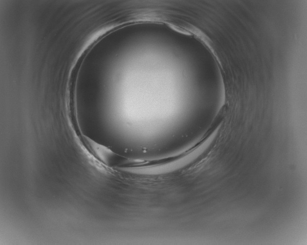 X0000061141147200511241757