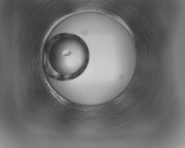 X0000061141148200511241757