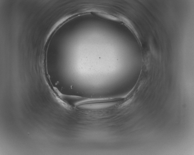 X0000061141149200511241757