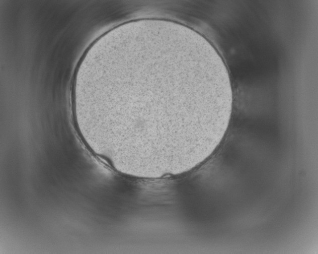 X0000061141150200511241757