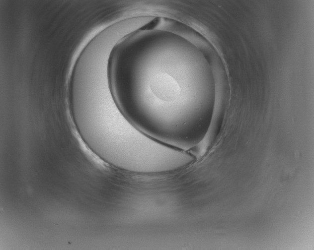 X0000061141152200511241757