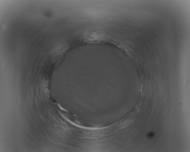 X0000061141156200511241756