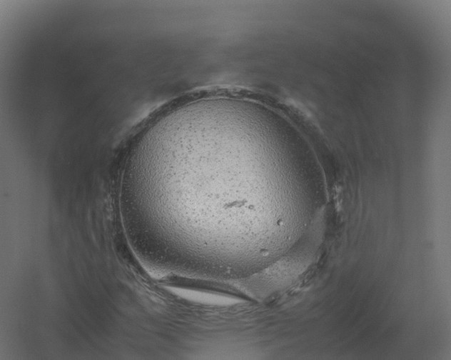 X0000061141159200511241756