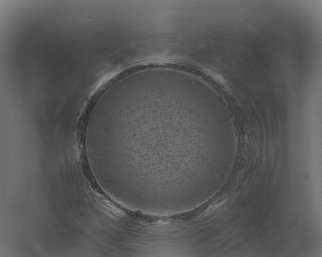 X0000061141160200511241756