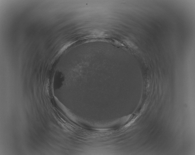 X0000061141161200511241756