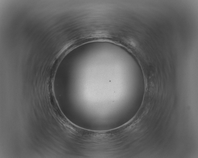 X0000061141162200511241756