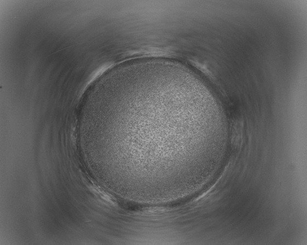 X0000061141163200511241756