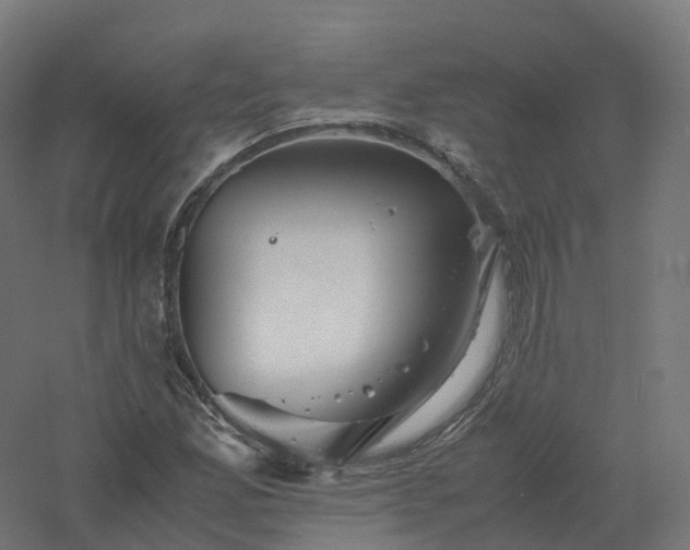 X0000061141165200511241756