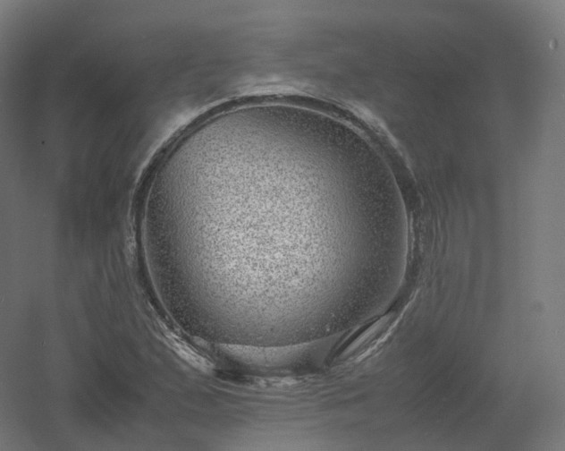 X0000061141167200511241756