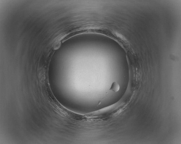 X0000061141169200511241756