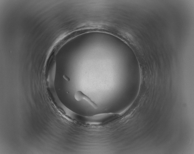 X0000061141172200511241756