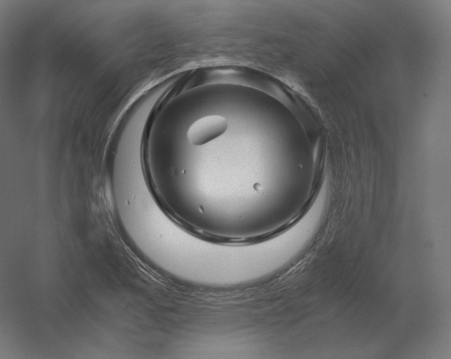 X0000061141173200511241756