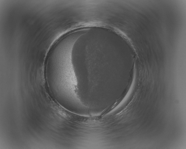 X0000061141174200511241756