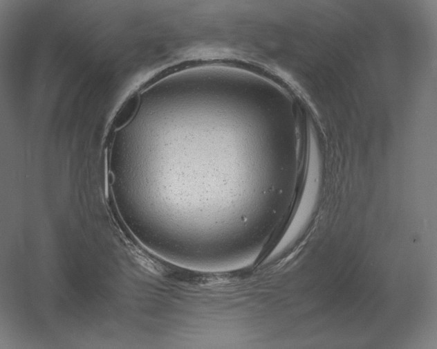 X0000061141175200511241756