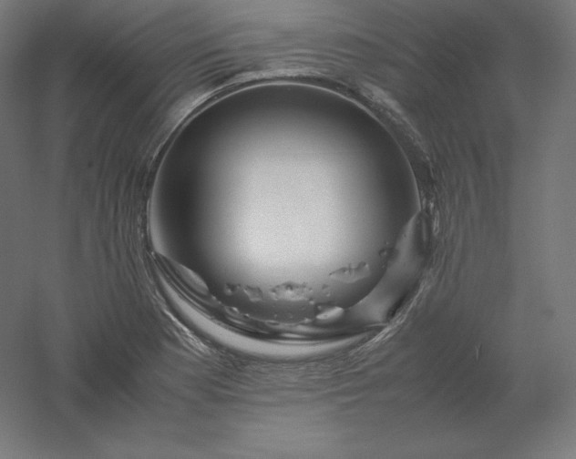 X0000061141177200511241756