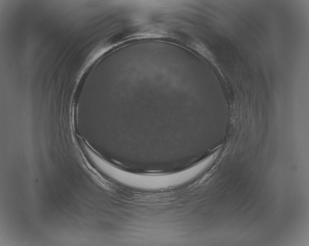 X0000061141179200511241755
