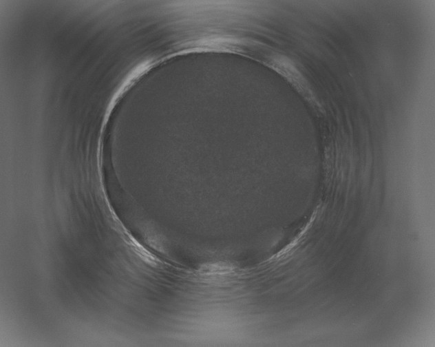 X0000061141180200511241755
