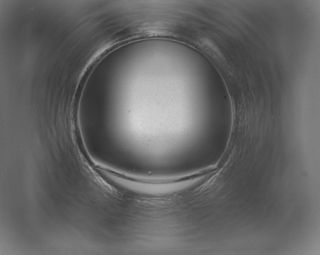 X0000061141182200511241755