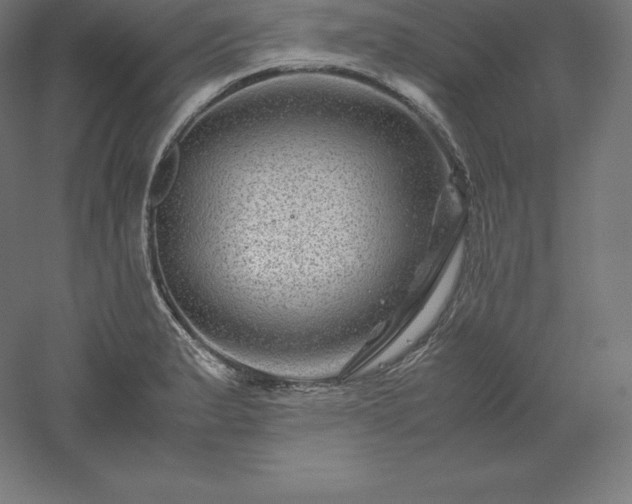 X0000061141183200511241755