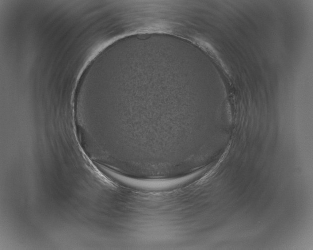 X0000061141184200511241755