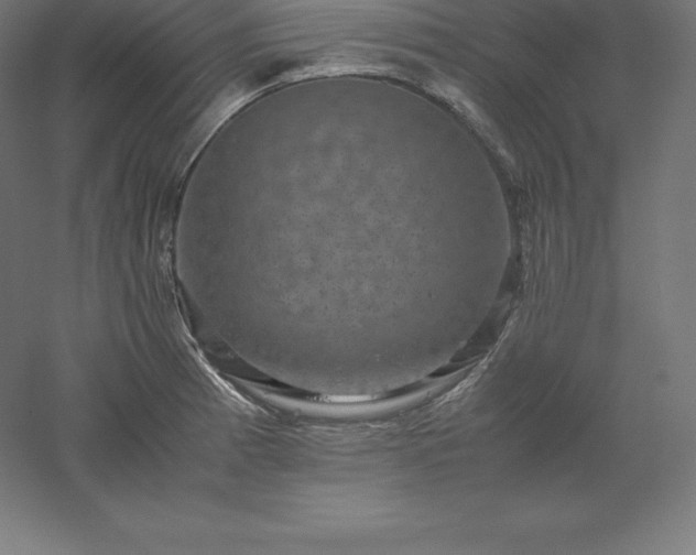 X0000061141185200511241755