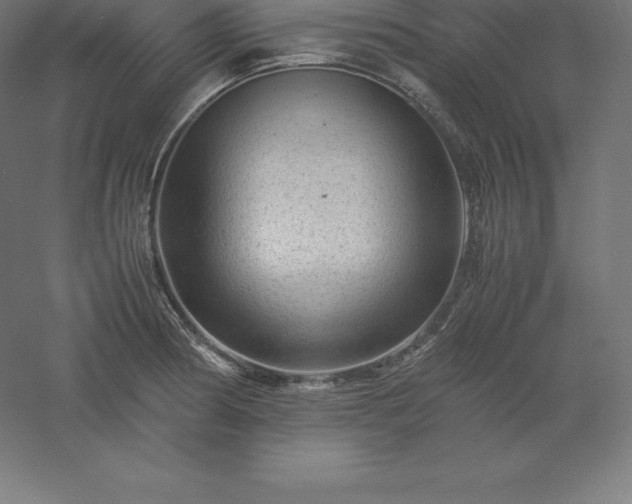 X0000061141186200511241755