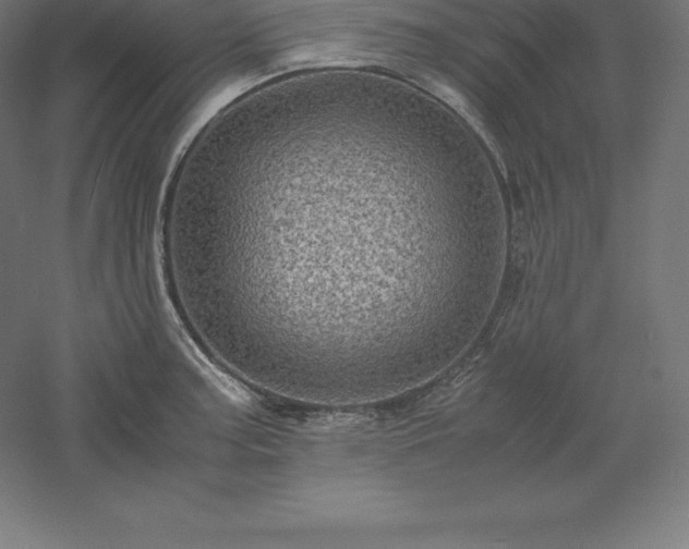 X0000061141187200511241755