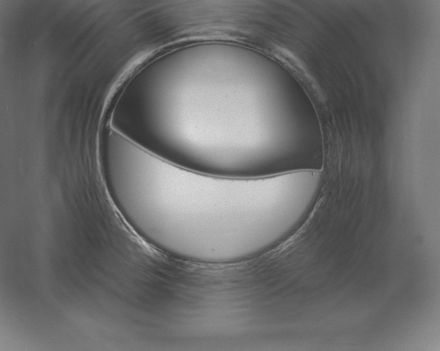 X0000061141188200511241755