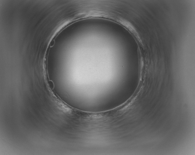 X0000061141190200511241755
