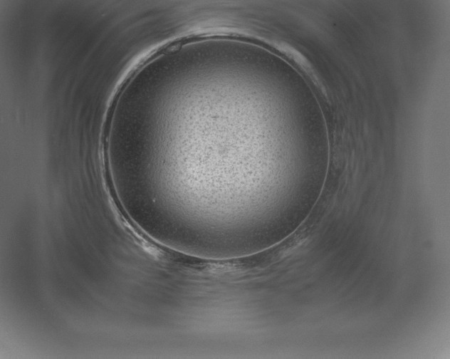 X0000061141191200511241755