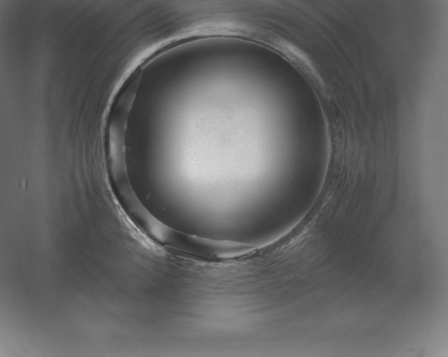 X0000061141192200511241755