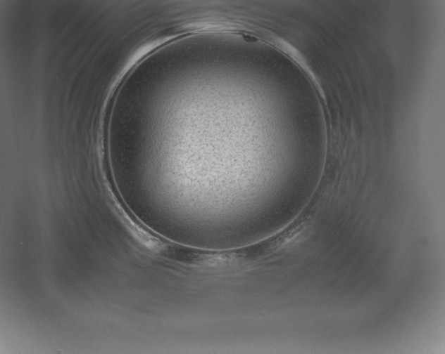 X0000061141195200511241755