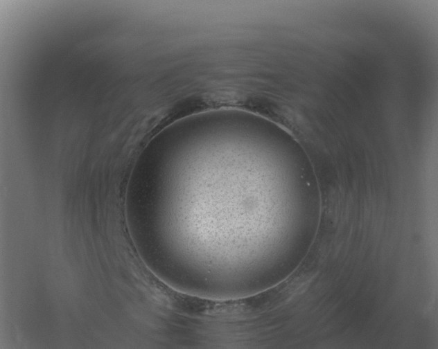 X0000061141201200511241754