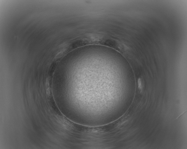 X0000061141203200511241754