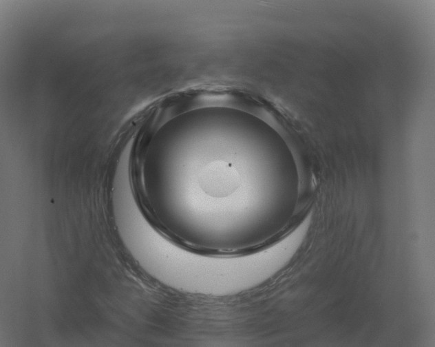 X0000061141206200511241754